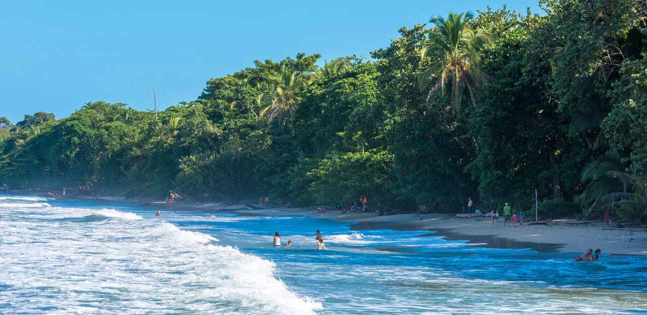 Tamarindo