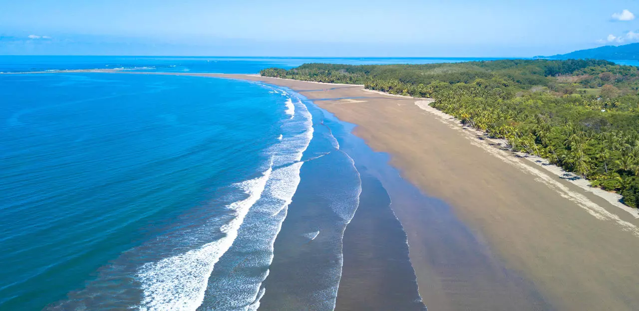Dominical