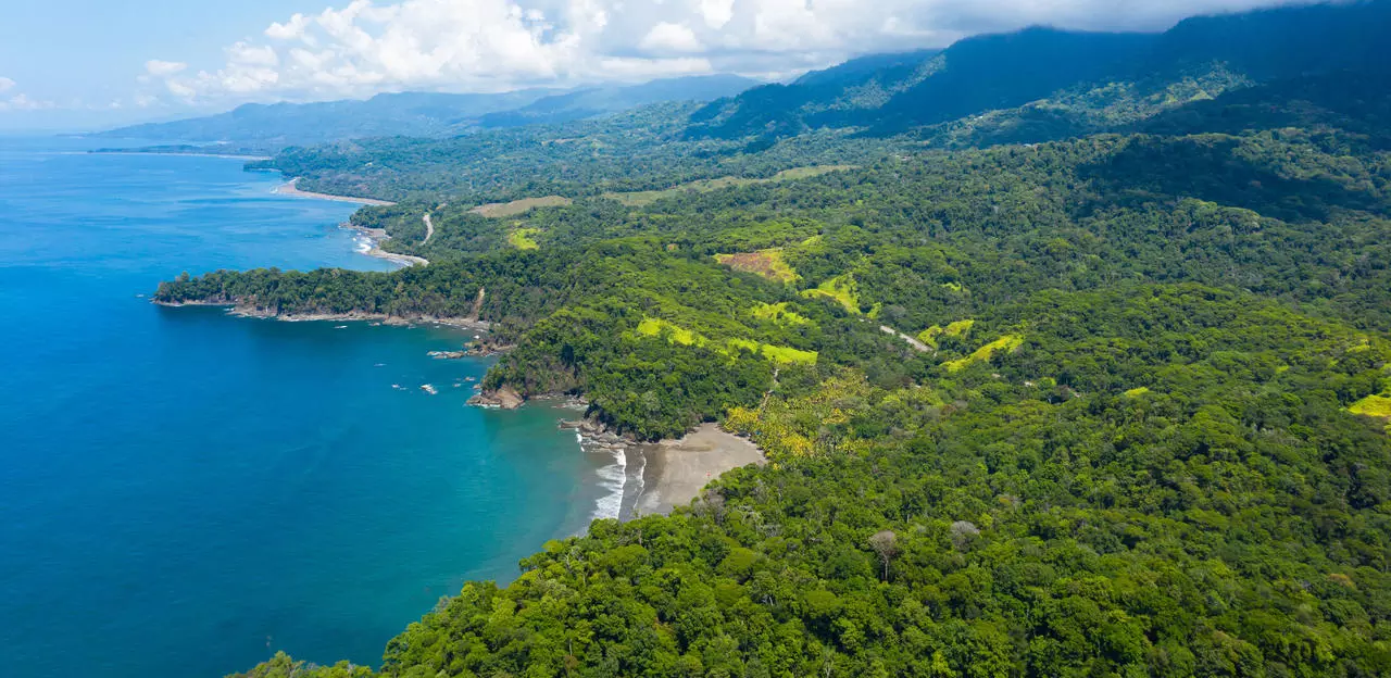 Uvita